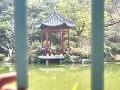 -云溪植物园