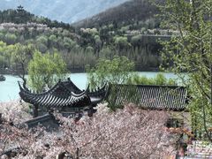 -樱花山风景区