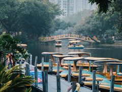 -晓港公园