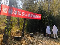 -北京东方普罗旺斯薰衣草庄园