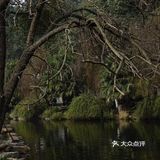 成都小众森林公园 | 桂湖森林公园攻略