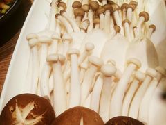 -尚海豆捞(乐虹坊店)