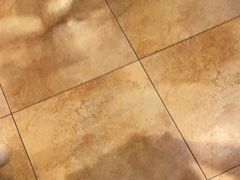 -醉美东江·三文鱼·烧鸡公