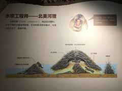 -长江文明馆
