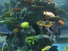 -福州罗源湾海洋世界旅游区