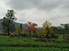 -塔川景区