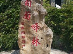 -翠屏五指山景区