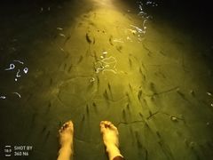-苏州湾王焰温泉度假酒店