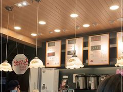 -茶颜悦色(岳麓山顶店)
