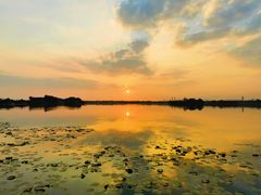 -贡湖湾湿地公园