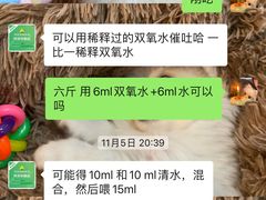 -半岛宠物医院24小时(科华中路店)