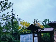 -嘉兴清池酒店温泉