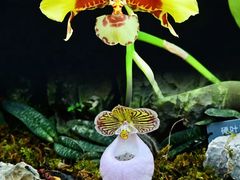 -国家植物园南园