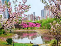 -堤角公园