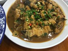 -全乐鱼馆·淳牌有机鱼直营店