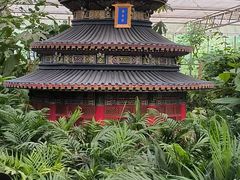 -南宫五洲植物乐园