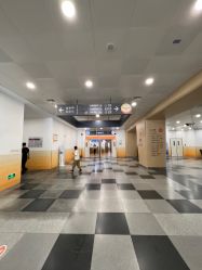 -上海交通大学医学院附属上海儿童医学中心(陆家嘴总院区)