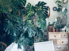 -AHAVA·Fang Baking Studio