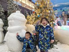 -世界之窗阿尔卑斯冰雪世界
