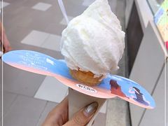 -野人先生现做冰淇淋(西安赛格店)