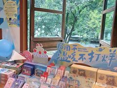 -猫的天空之城概念书店(苏州平江店)