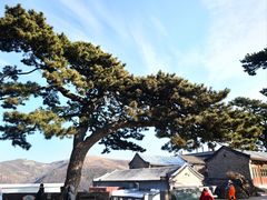 -妙峰山风景名胜区