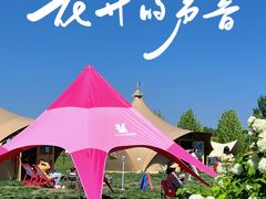 -圣露庄园·露营·烤肉·亲子