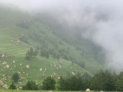 -蔚县茶山村