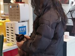 -猫小院猫主题餐厅(南锣旗舰店)