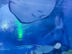 -上海海昌海洋公园-冰山北极馆