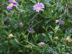 -国生茶庄·地道农家菜团建活动