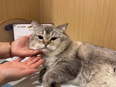 -美迦爱-牙专科·兔科·骨科诊疗中心(北苑店)