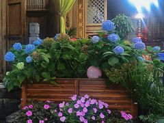 -龙姐私房菜(和顺古镇店)