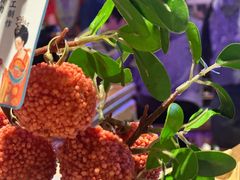 -长安大牌档之上元灯会(南大街店)