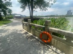 -顺峰山公园