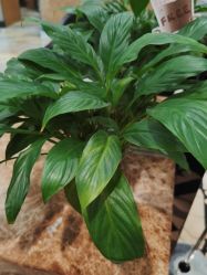 -永琪美容美发全国直营连锁