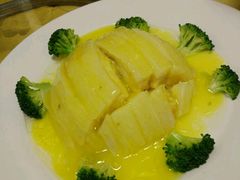 素鱼翅-丁老爷子苏香圆