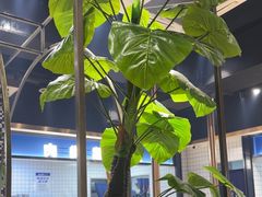 -蚝英雄·自助烤蚝(高新店)