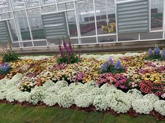 -保尔卓美园艺有限公司