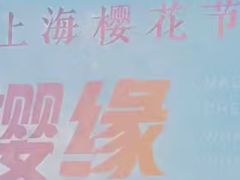 -高东镇樱花园
