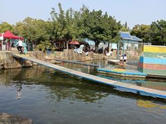 -海上田园