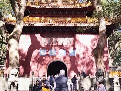 -普陀山风景名胜区-法雨禅寺