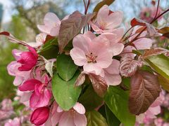 -元大都城垣遗址公园