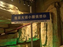-大话小腰(鸟巢店)