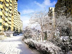 -大连市游泳馆-地面停车场