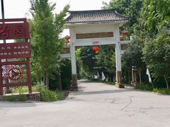 -建华生态湿地百荷园