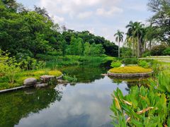 -云溪植物园
