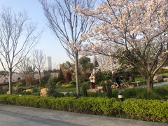 -上海山野camping·户外天幕烧烤·团建拓展营地