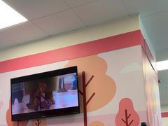 -上海市东方医院(总院)