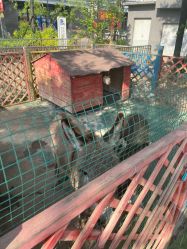 -萌宠亲子动物乐园(槐房万达店)